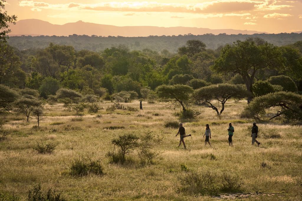 Lion Sands River Lodge Sabi Sand Game Reserve Dış mekan fotoğraf