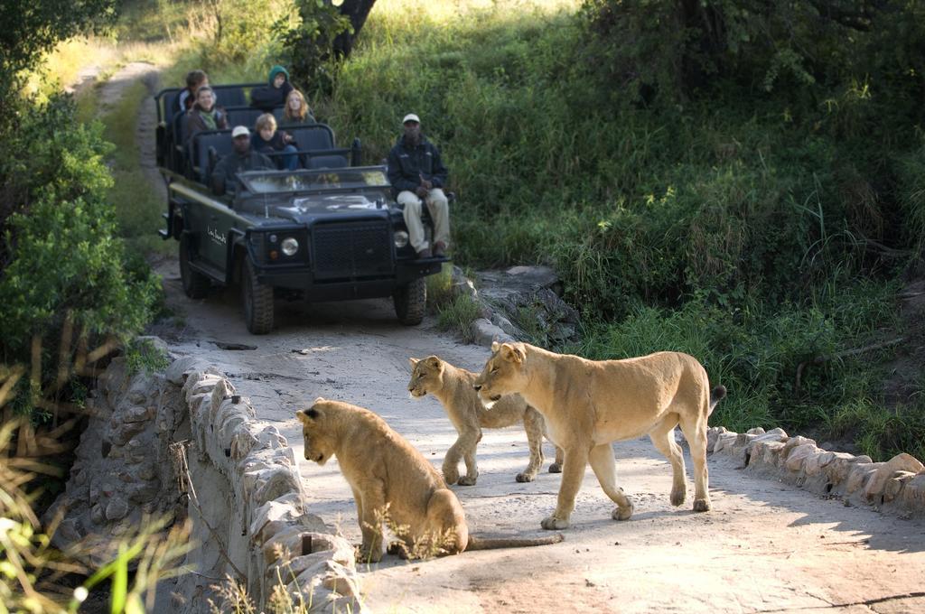 Lion Sands River Lodge Sabi Sand Game Reserve Dış mekan fotoğraf