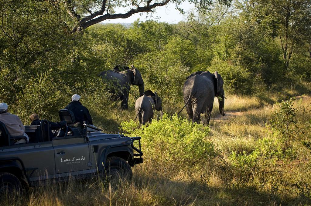 Lion Sands River Lodge Sabi Sand Game Reserve Dış mekan fotoğraf